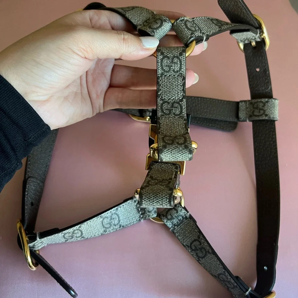 Gucci Dog Harness